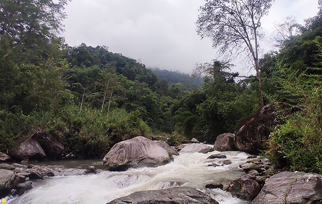 Hiking and Camping at Sweet Tea Villa, Darjeeling